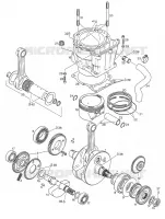 Drive shaft - Cylinder - Piston N>S