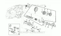 Driven shaft