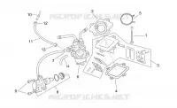Carburettor  - oil pump assy.
