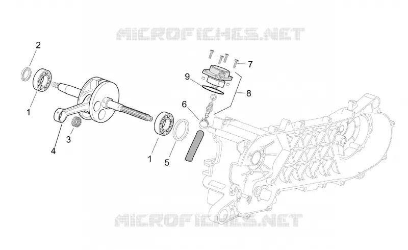 Drive shaft