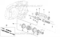 Primary gear shaft