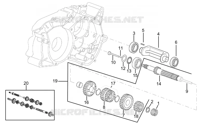 Primary gear shaft