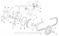 Variator