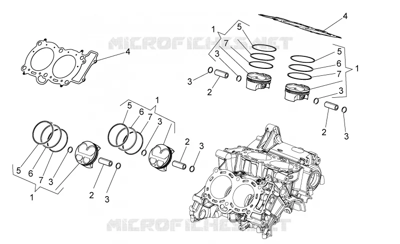 Cylinder - Piston
