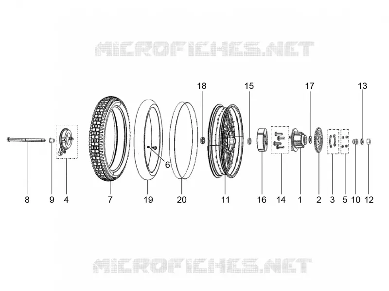 Rear wheel with spokes