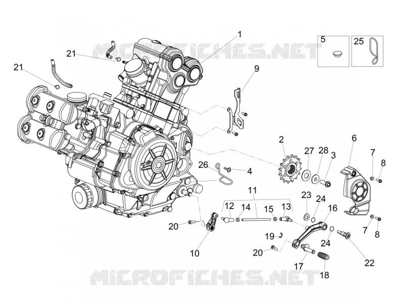 ENGINE - GEAR LEVER - SPROCKET Aprilia APRILIA-MOTORCYCLES 900 DORSODURO 2017  Dorsoduro 900 Euro 4 ABS