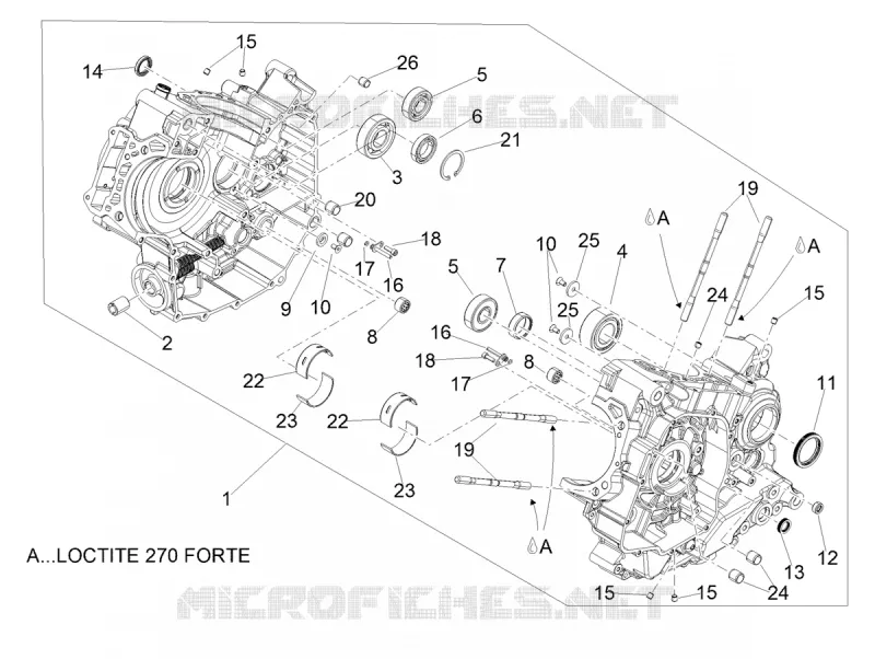 CRANKCASES I Aprilia APRILIA-MOTORCYCLES 900 DORSODURO 2019  Dorsoduro 900 Euro 4 ABS