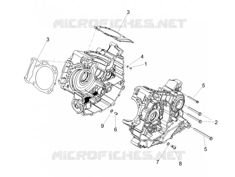 CRANKCASES I Aprilia APRILIA-MOTORCYCLES 900 DORSODURO 2020  Dorsoduro 900 Euro 4 ABS