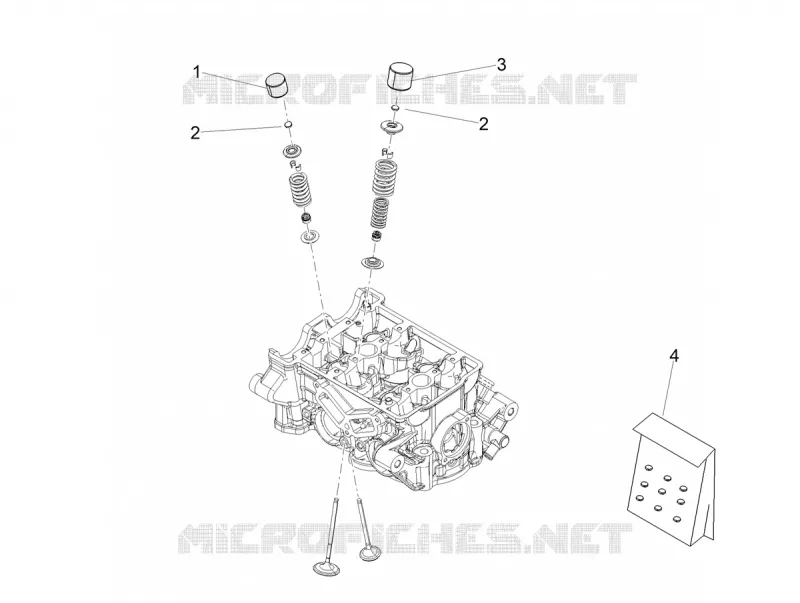 PAD Aprilia APRILIA-MOTORCYCLES 660 RS 2023  RS 660 Extrema 4T 8V E5 ABS