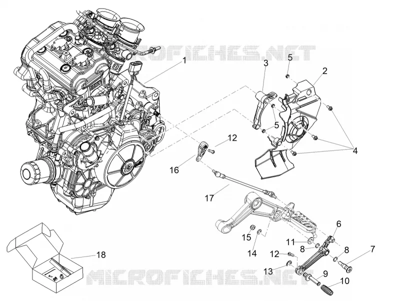 ENGINE - GEAR LEVER - SPROCKET Aprilia APRILIA-MOTORCYCLES 660 TUONO 2023  Tuono 660 4T 8V E5 ABS
