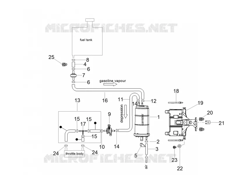 FUEL EVAP SYSTEM Aprilia APRILIA-MOTORCYCLES 660 TUONO 2023  Tuono 660 4T 8V E5 ABS