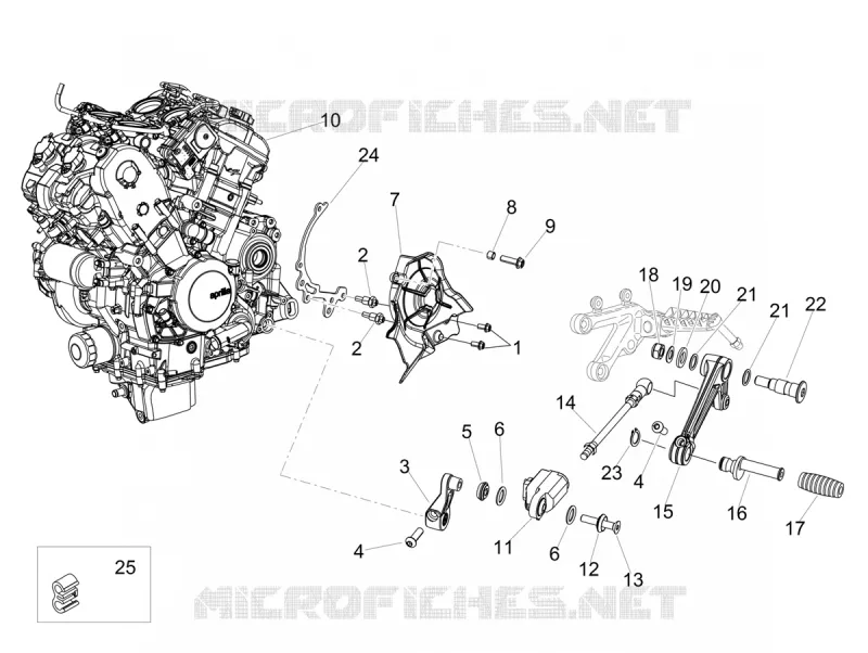 ENGINE - GEAR LEVER - SPROCKET Aprilia APRILIA-MOTORCYCLES 1100 TUONO 2024  Tuono V4 Factory 1100 E5 Superpole ABS